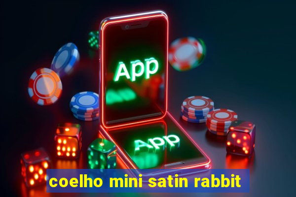 coelho mini satin rabbit