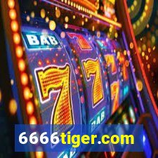 6666tiger.com