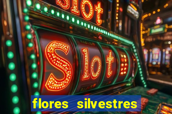 flores silvestres desbravadores desbravadores 25